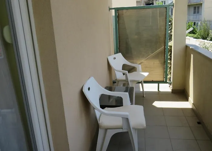 Apartment Bear Split