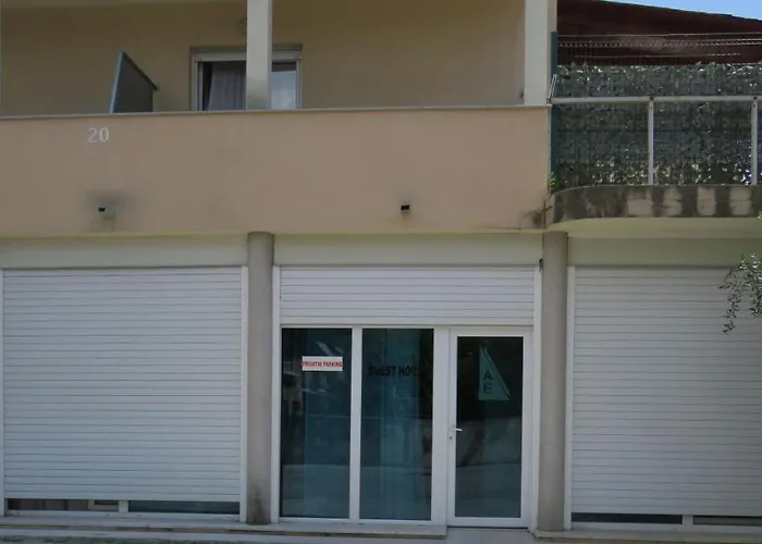 Bear Apartment Split