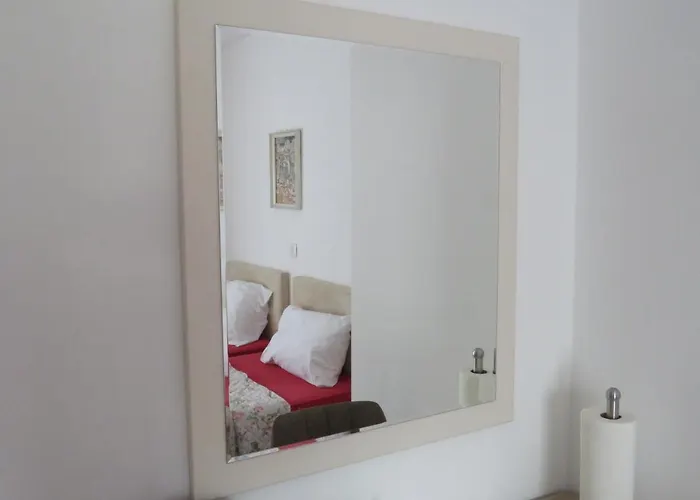 Bear Apartment Split