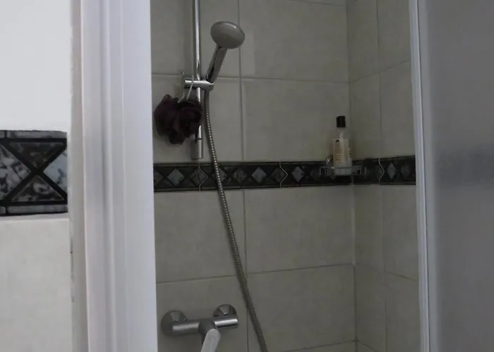 Apartment Bear Split