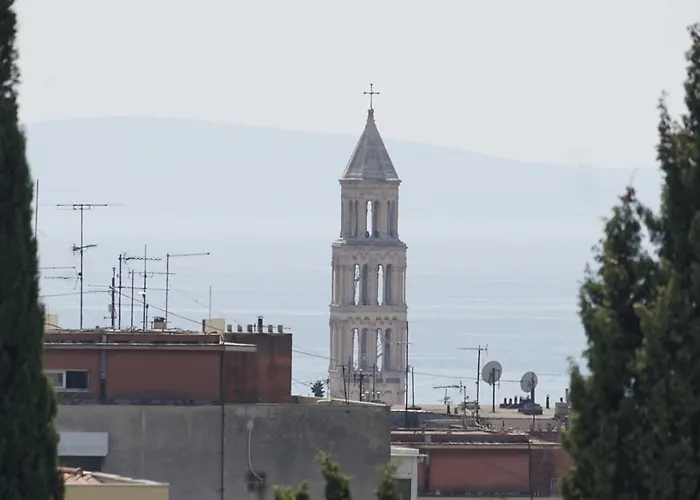 Bear Apartment Split