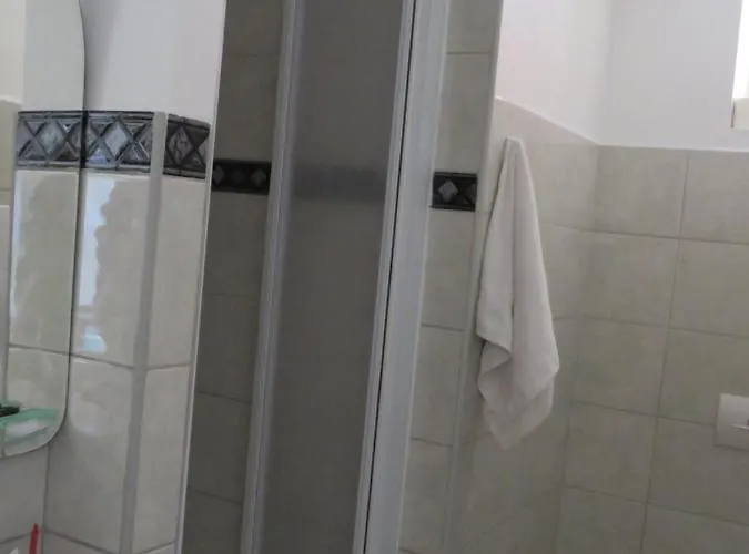 Bear Apartment Split