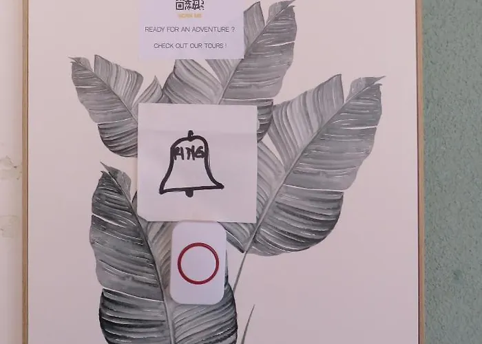 Bear Apartment Split