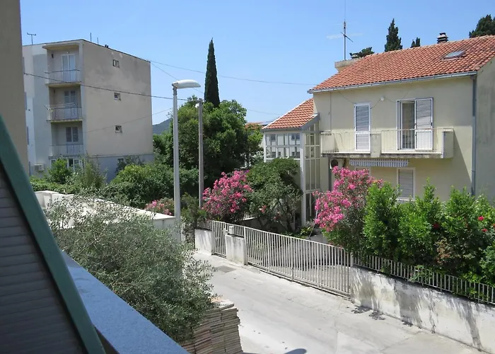 Apartment Bear Split