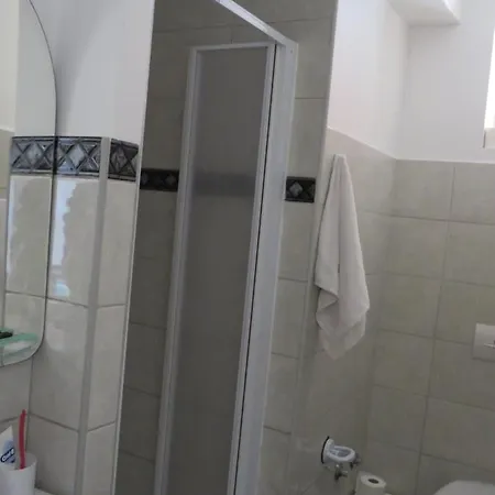 Bear Apartment Split