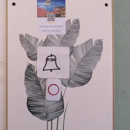 Bear Apartment Split