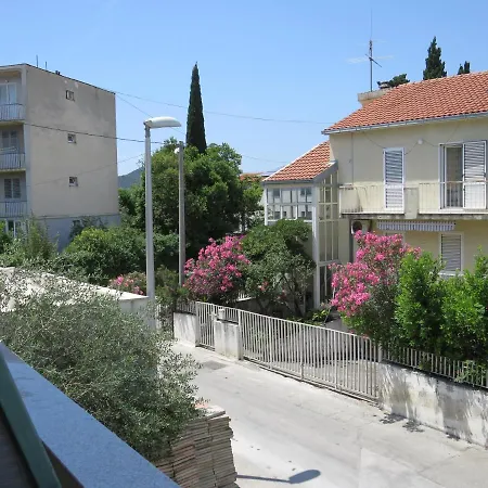 Apartment Bear Split